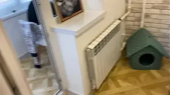 Stepson took advantage of the helplessness of Stepmother stuck under the bed