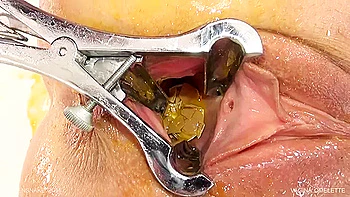 Qs - Pussy Omelette - Fisting Lesbians