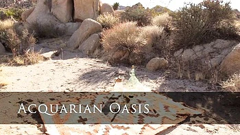 Patootie's lesbian hairy pussy clip by Naughty Natural